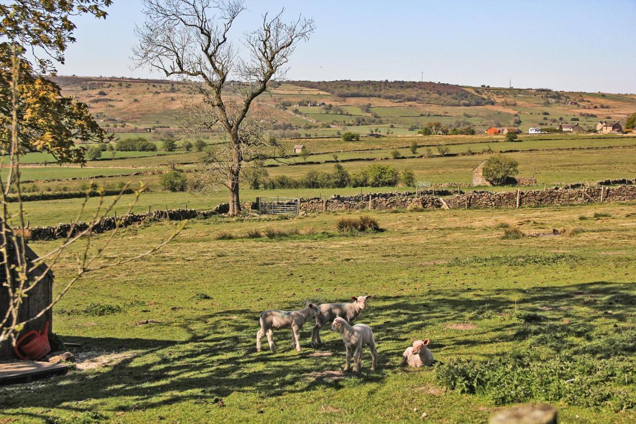 Moorland View Farm B&B Oakamoor Exteriér fotografie